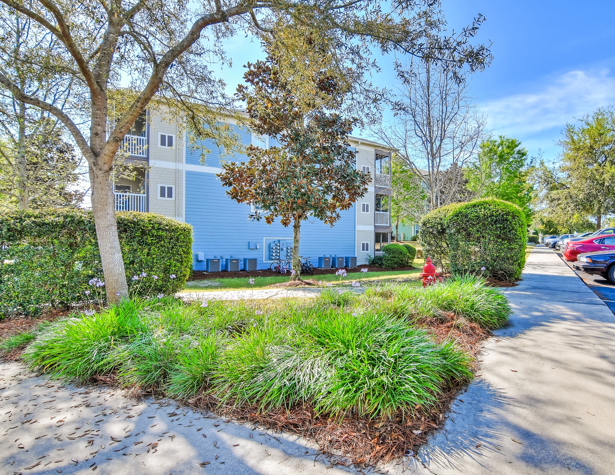 A tree in a landscaped area in front of a building.